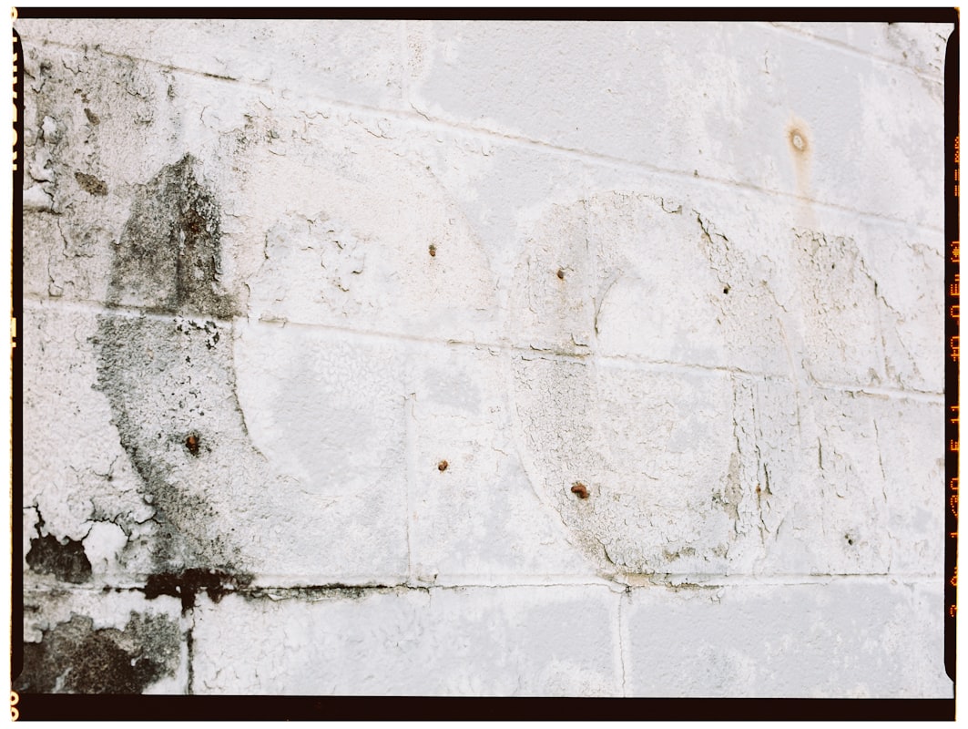 Structural Drying service in Roseville, MI