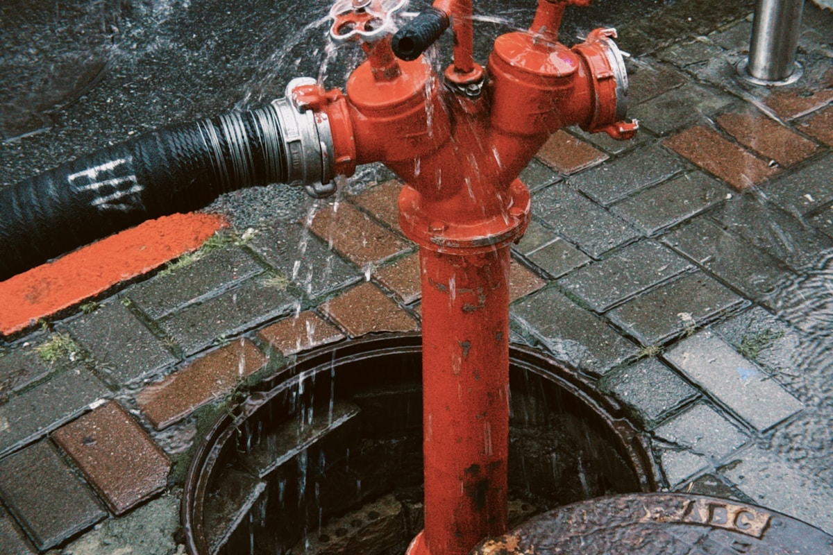 Flood Cleanup service in Roseville, MI